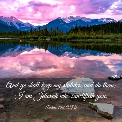 Picture 03 - Leviticus 20:8 ASV - And ye shall keep my statutes, and do them: I am - Bible Verse Picture