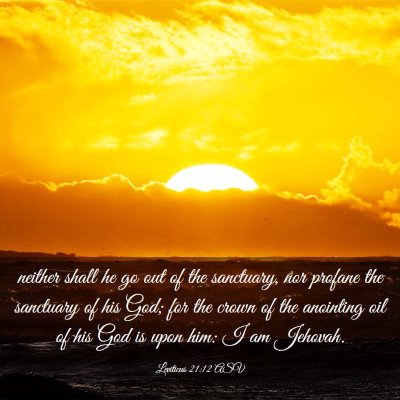 Picture 03 - Leviticus 21:12 ASV - neither shall he go out of the sanctuary, nor - Bible Verse Picture