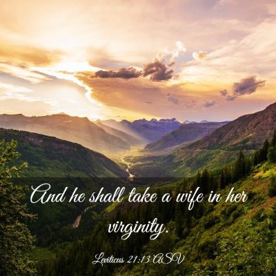 Picture 03 - Leviticus 21:13 ASV - And he shall take a wife in her - Bible Verse Picture