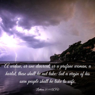 Picture 03 - Leviticus 21:14 ASV - A widow, or one divorced, or a profane woman, a - Bible Verse Picture