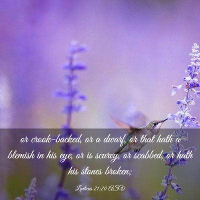 Picture 03 - Leviticus 21:20 ASV - or crook-backed, or a dwarf, or that hath a - Bible Verse Picture