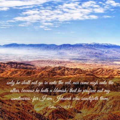Picture 03 - Leviticus 21:23 ASV - only he shall not go in unto the veil, nor come - Bible Verse Picture