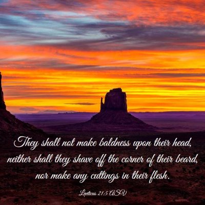 Picture 03 - Leviticus 21:5 ASV - They shall not make baldness upon their head, - Bible Verse Picture