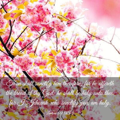 Picture 03 - Leviticus 21:8 ASV - Thou shalt sanctify him therefore; for he - Bible Verse Picture