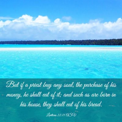 Picture 03 - Leviticus 22:11 ASV - But if a priest buy any soul, the purchase of his - Bible Verse Picture
