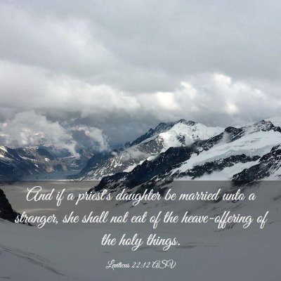 Picture 03 - Leviticus 22:12 ASV - And if a priest's daughter be married unto a - Bible Verse Picture