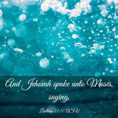 Picture 03 - Leviticus 22:17 ASV - And Jehovah spake unto Moses, - Bible Verse Picture