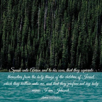 Picture 03 - Leviticus 22:2 ASV - Speak unto Aaron and to his sons, that they - Bible Verse Picture