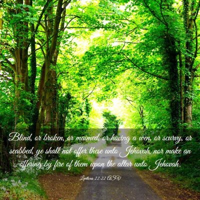 Picture 03 - Leviticus 22:22 ASV - Blind, or broken, or maimed, or having a wen, or - Bible Verse Picture