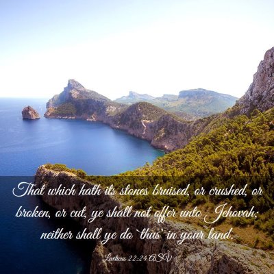 Picture 03 - Leviticus 22:24 ASV - That which hath its stones bruised, or crushed, - Bible Verse Picture
