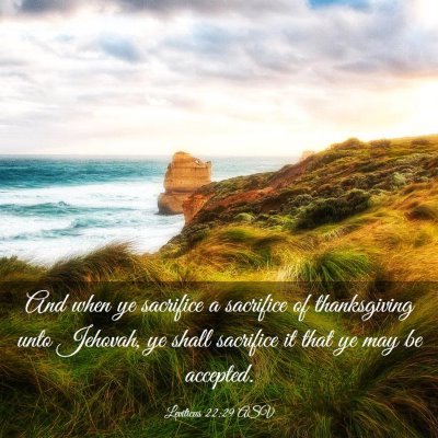 Picture 03 - Leviticus 22:29 ASV - And when ye sacrifice a sacrifice of thanksgiving - Bible Verse Picture