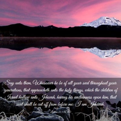 Picture 03 - Leviticus 22:3 ASV - Say unto them, Whosoever he be of all your seed - Bible Verse Picture