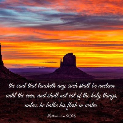 Picture 03 - Leviticus 22:6 ASV - the soul that toucheth any such shall be unclean - Bible Verse Picture