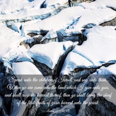 Picture 03 - Leviticus 23:10 ASV - Speak unto the children of Israel, and say unto - Bible Verse Picture