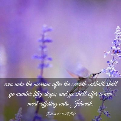Picture 03 - Leviticus 23:16 ASV - even unto the morrow after the seventh sabbath - Bible Verse Picture