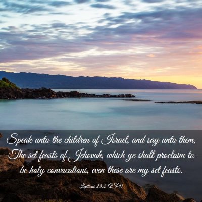 Picture 03 - Leviticus 23:2 ASV - Speak unto the children of Israel, and say unto - Bible Verse Picture