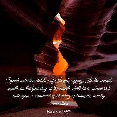 Picture 03 - Leviticus 23:24 ASV - Speak unto the children of Israel, saying, In the - Bible Verse Picture