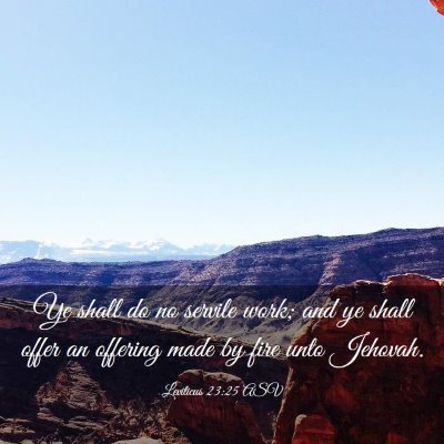 Picture 03 - Leviticus 23:25 ASV - Ye shall do no servile work; and ye shall offer - Bible Verse Picture