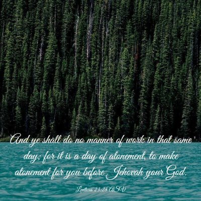 Picture 03 - Leviticus 23:28 ASV - And ye shall do no manner of work in that same - Bible Verse Picture