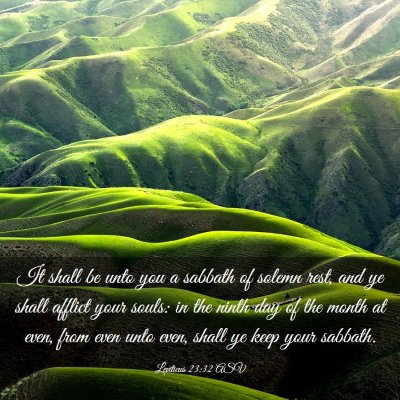Picture 03 - Leviticus 23:32 ASV - It shall be unto you a sabbath of solemn rest, - Bible Verse Picture
