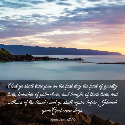 Picture 03 - Leviticus 23:40 ASV - And ye shall take you on the first day the fruit - Bible Verse Picture