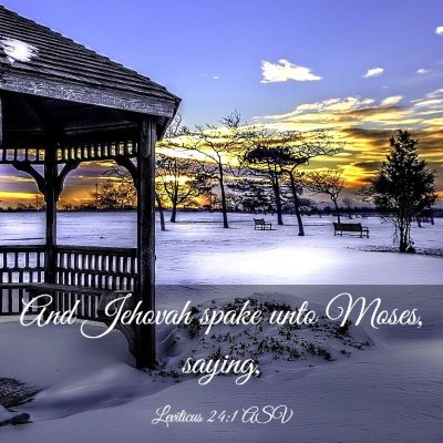 Picture 03 - Leviticus 24:1 ASV - And Jehovah spake unto Moses, - Bible Verse Picture