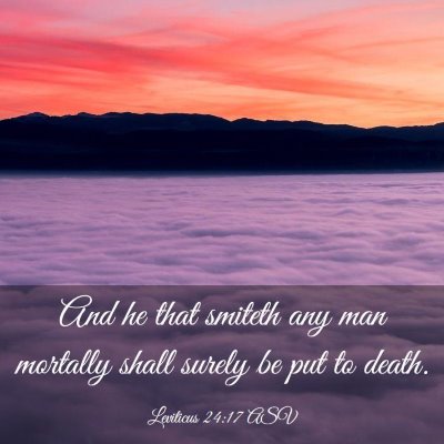 Picture 03 - Leviticus 24:17 ASV - And he that smiteth any man mortally shall surely - Bible Verse Picture