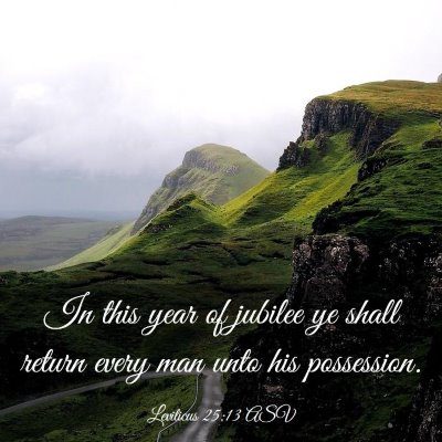 Picture 03 - Leviticus 25:13 ASV - In this year of jubilee ye shall return every man - Bible Verse Picture