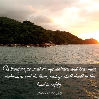 Picture 03 - Leviticus 25:18 ASV - Wherefore ye shall do my statutes, and keep mine - Bible Verse Picture