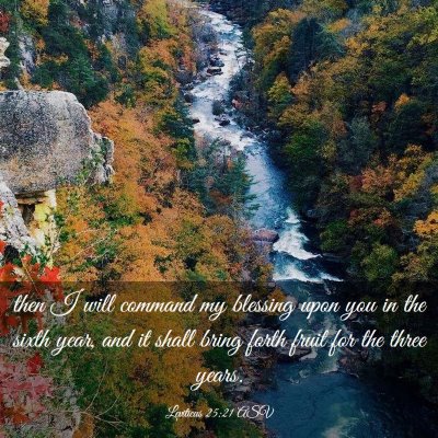Picture 03 - Leviticus 25:21 ASV - then I will command my blessing upon you in the - Bible Verse Picture