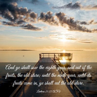 Picture 03 - Leviticus 25:22 ASV - And ye shall sow the eighth year, and eat of the - Bible Verse Picture