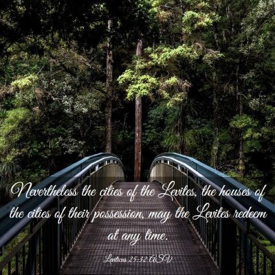 Picture 03 - Leviticus 25:32 ASV - Nevertheless the cities of the Levites, the - Bible Verse Picture