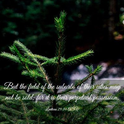 Picture 03 - Leviticus 25:34 ASV - But the field of the suburbs of their cities may - Bible Verse Picture