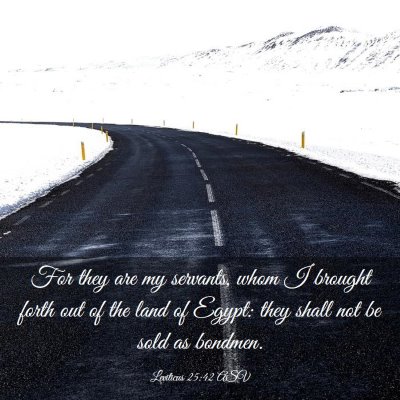 Picture 03 - Leviticus 25:42 ASV - For they are my servants, whom I brought forth - Bible Verse Picture