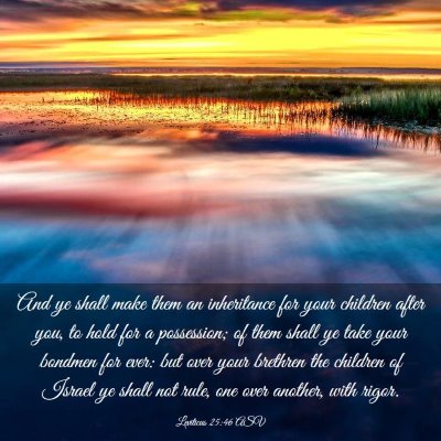 Picture 03 - Leviticus 25:46 ASV - And ye shall make them an inheritance for your - Bible Verse Picture