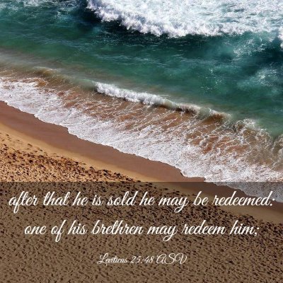 Picture 03 - Leviticus 25:48 ASV - after that he is sold he may be redeemed: one of - Bible Verse Picture