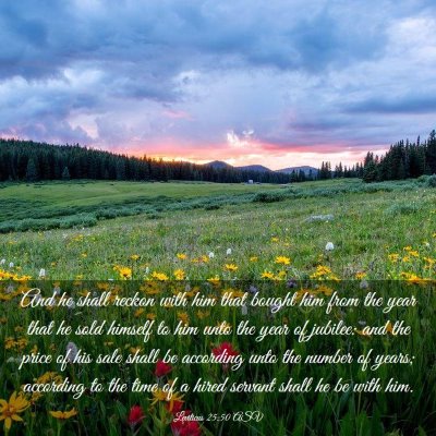 Picture 03 - Leviticus 25:50 ASV - And he shall reckon with him that bought him from - Bible Verse Picture