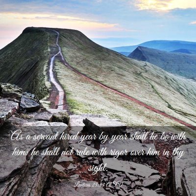 Picture 03 - Leviticus 25:53 ASV - As a servant hired year by year shall he be with - Bible Verse Picture