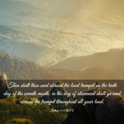 Picture 03 - Leviticus 25:9 ASV - Then shalt thou send abroad the loud trumpet on - Bible Verse Picture