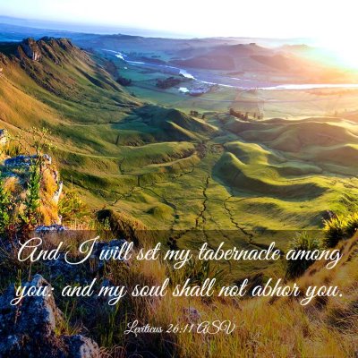 Picture 03 - Leviticus 26:11 ASV - And I will set my tabernacle among you: and my - Bible Verse Picture