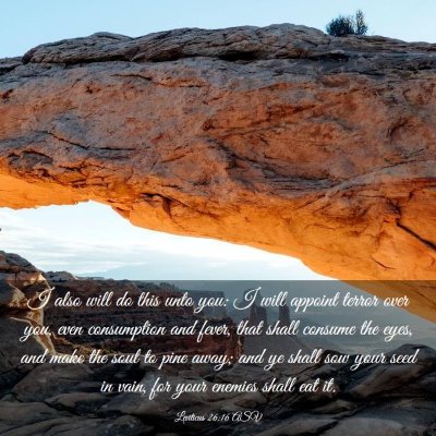 Picture 03 - Leviticus 26:16 ASV - I also will do this unto you: I will appoint - Bible Verse Picture
