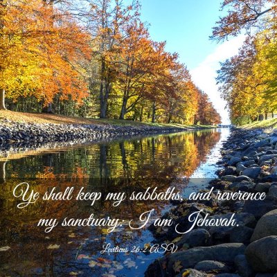Picture 03 - Leviticus 26:2 ASV - Ye shall keep my sabbaths, and reverence my - Bible Verse Picture