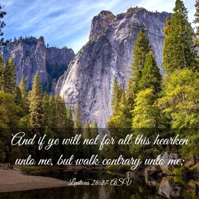 Picture 03 - Leviticus 26:27 ASV - And if ye will not for all this hearken unto me, - Bible Verse Picture