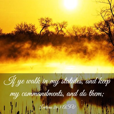 Picture 03 - Leviticus 26:3 ASV - If ye walk in my statutes, and keep my - Bible Verse Picture