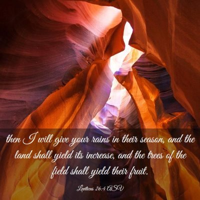 Picture 03 - Leviticus 26:4 ASV - then I will give your rains in their season, and - Bible Verse Picture