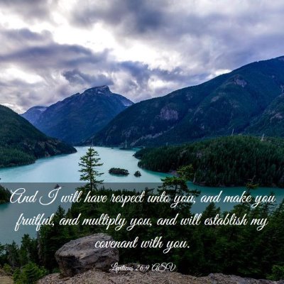 Picture 03 - Leviticus 26:9 ASV - And I will have respect unto you, and make you - Bible Verse Picture