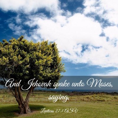 Picture 03 - Leviticus 27:1 ASV - And Jehovah spake unto Moses, - Bible Verse Picture