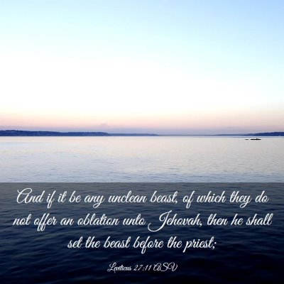 Picture 03 - Leviticus 27:11 ASV - And if it be any unclean beast, of which they do - Bible Verse Picture