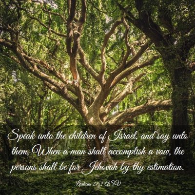 Picture 03 - Leviticus 27:2 ASV - Speak unto the children of Israel, and say unto - Bible Verse Picture