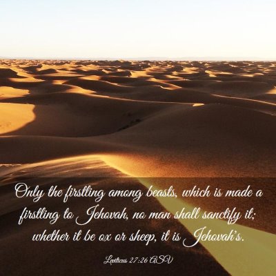 Picture 03 - Leviticus 27:26 ASV - Only the firstling among beasts, which is made a - Bible Verse Picture